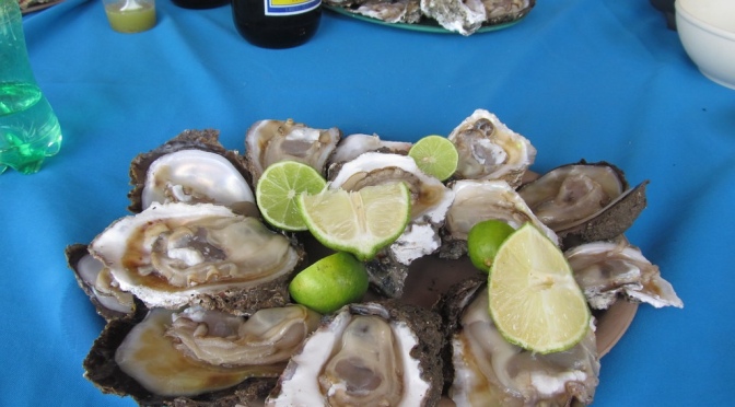Tabasco es líder en cultivo de ostras